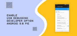 Enable Developer Options and USB Debugging on Android 9.0 Pie